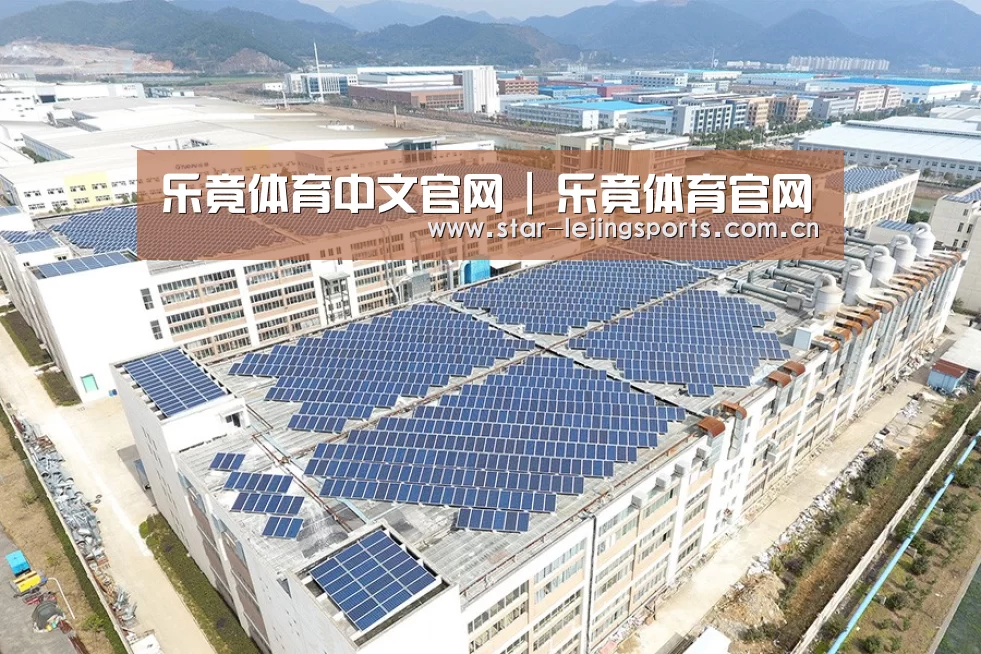 案例展示二