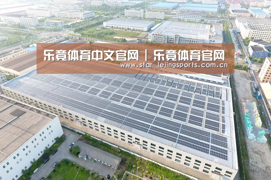 案例展示三