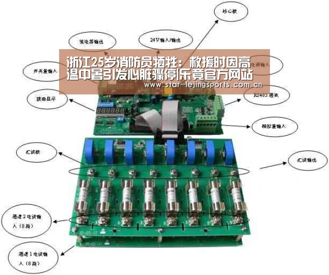 乐竟体育官网