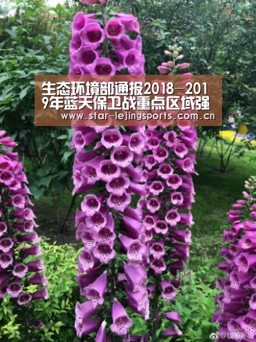 乐竟体育