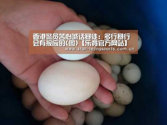 乐竟官方网站