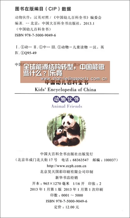 全球能源结构转型，中国能做些什么？|乐竟